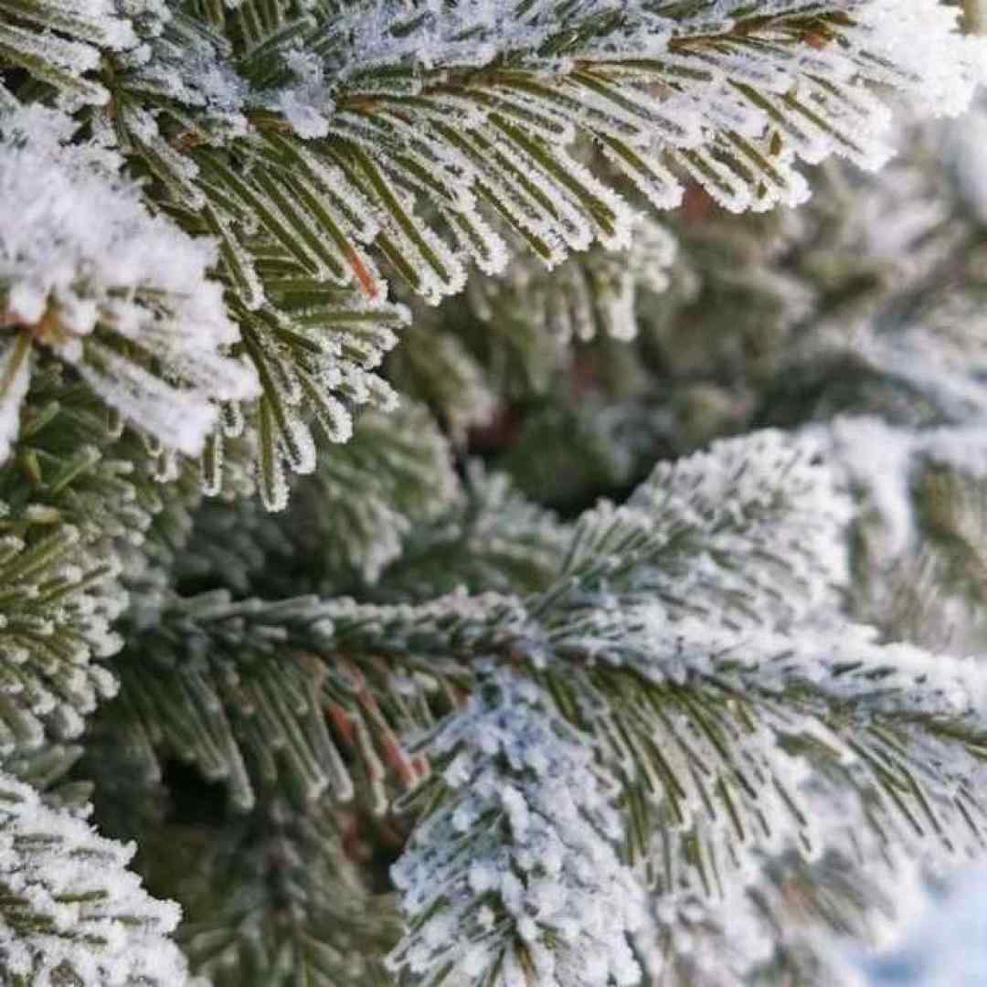 میراب امپراطور