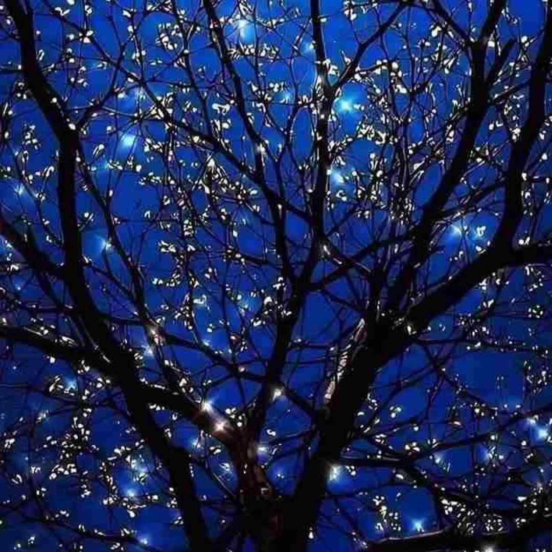  هنوزم دلم میخواد تا صبح باهات حرف بزنم