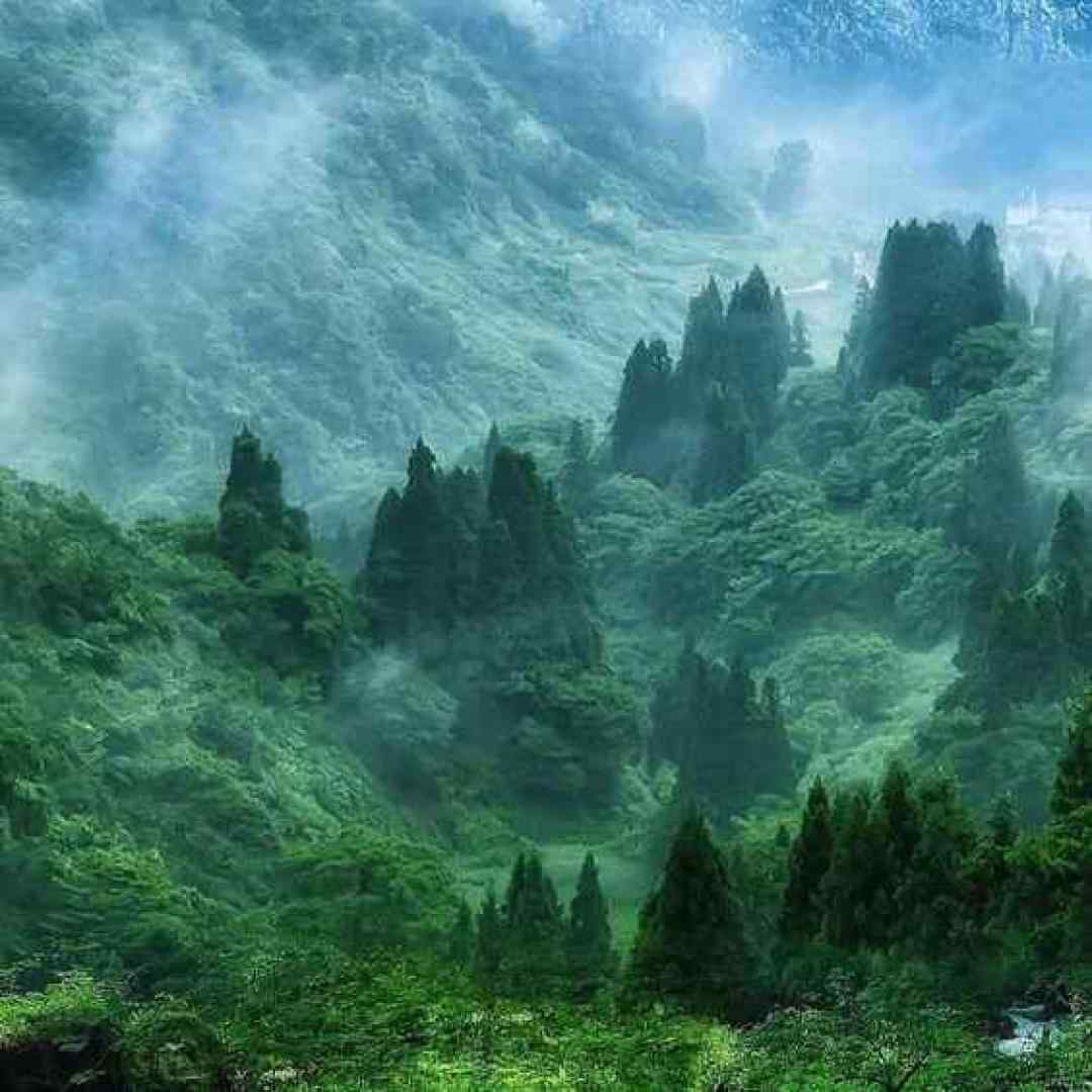  سر تا پا تنم مشکی میپوشم با صدای دختر ترند اینستاگرام