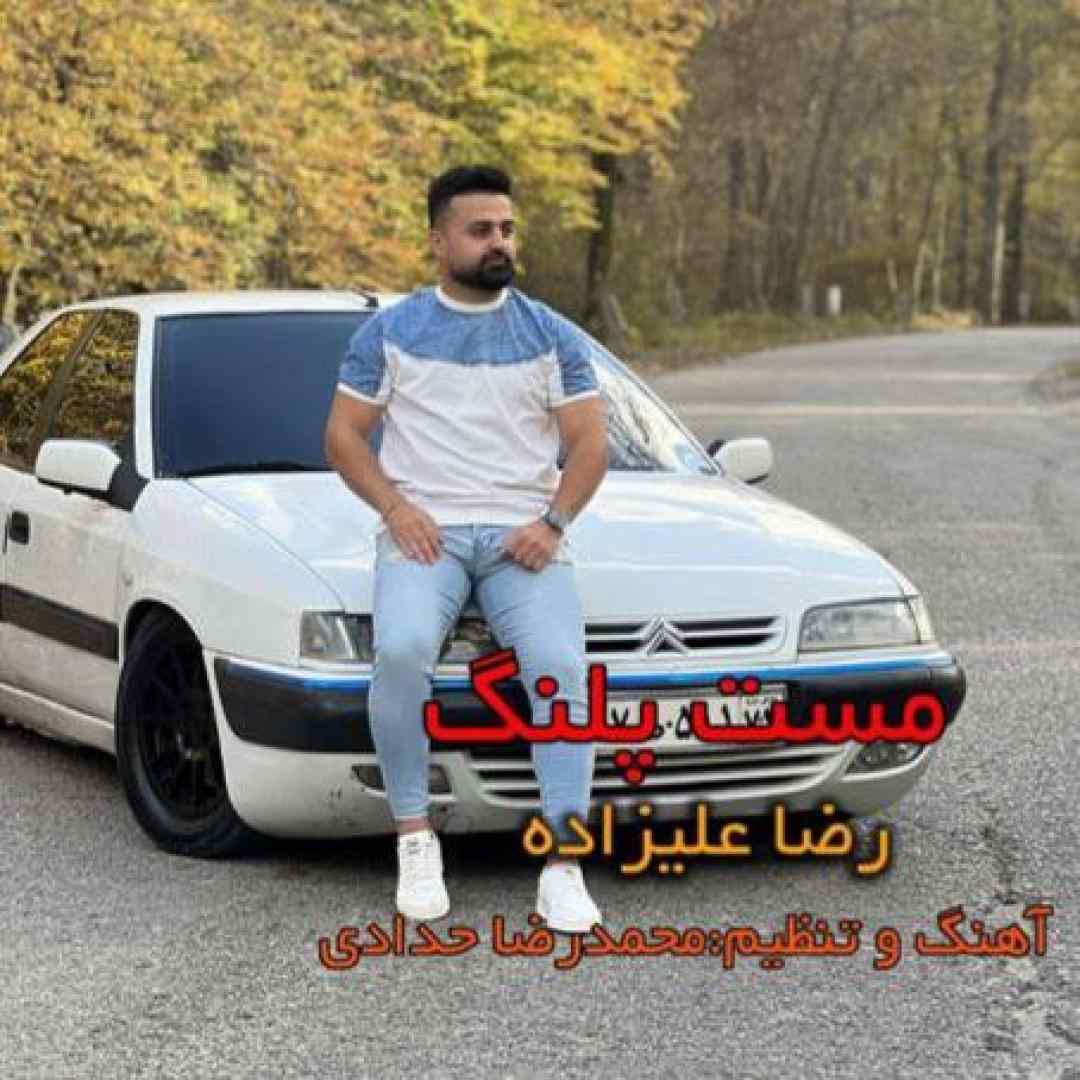 رضا علیزاده مست پلنگ