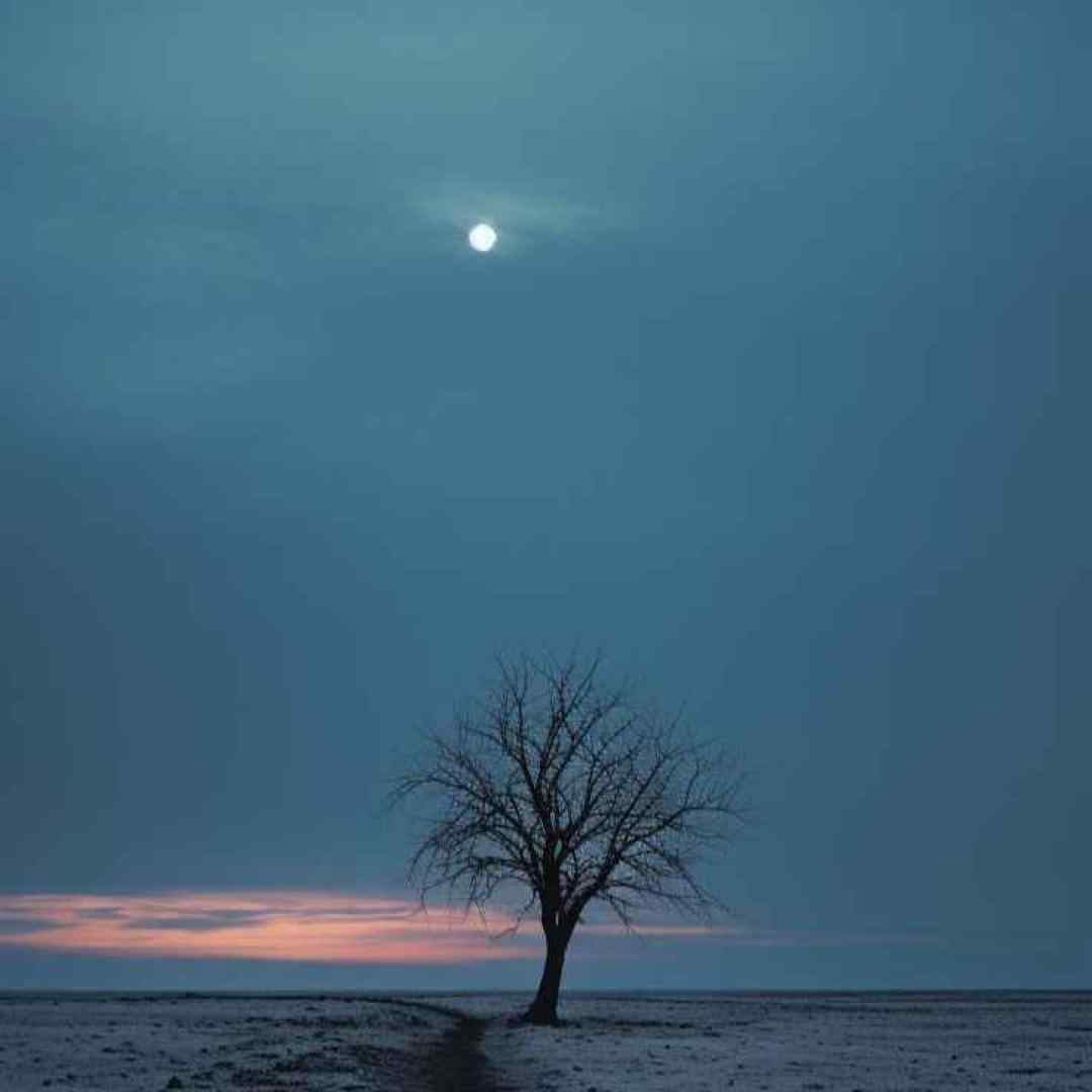  تو تک سوار عاشق من پری قصه ها بشم اجرای گروهی