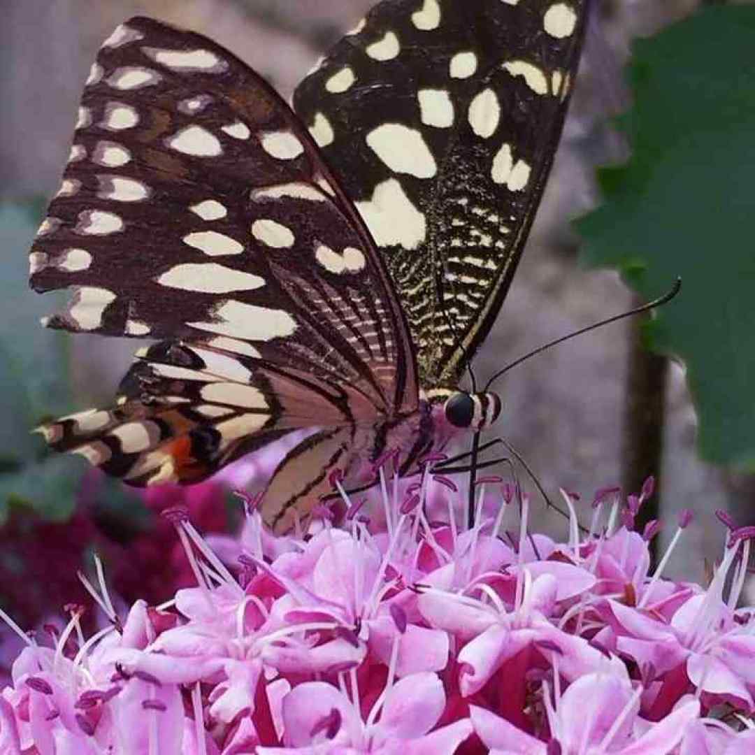  اگه نقاش زمونه بودم بیر کاغذ قلمنن چشماتو میکشیدم