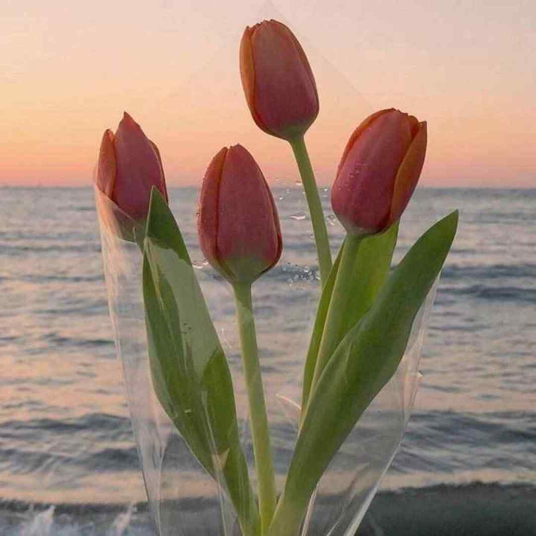 ماریا هورامی دلکم باوانم باوانی باوانم