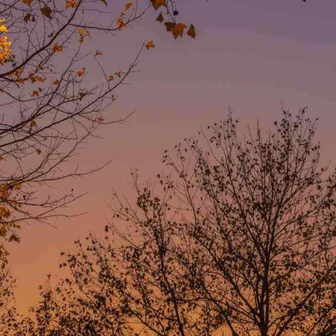  بخدا دل بچگی میخواد هیچی نمیخواد ورژن اینستاگرامی