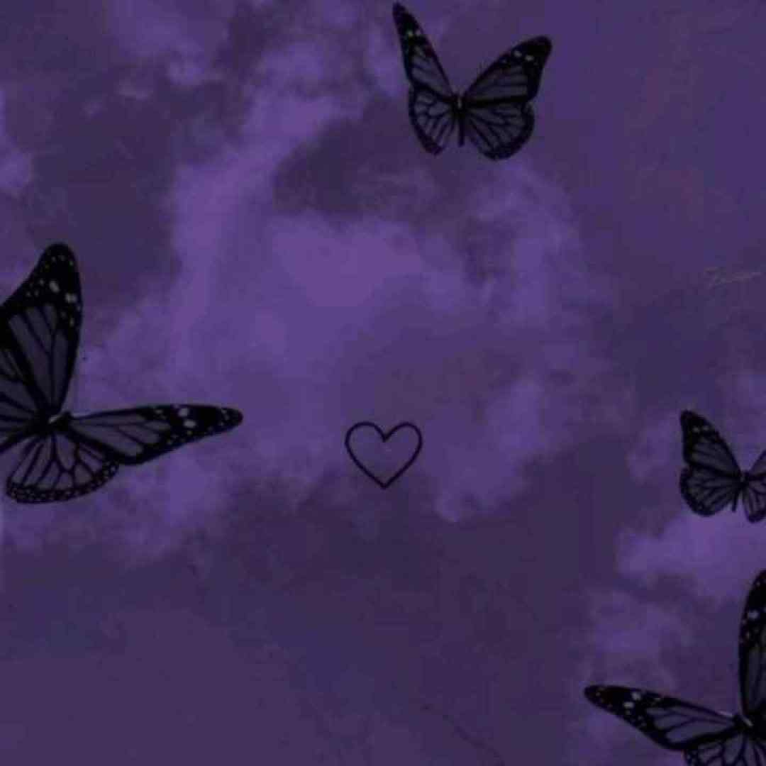  اما رفت و قسمت من شب بی چراغی شد