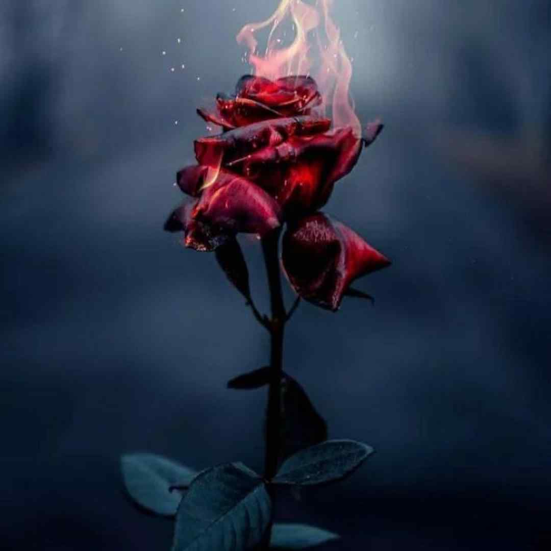  حالم بهتره وقتی با تو نیستم