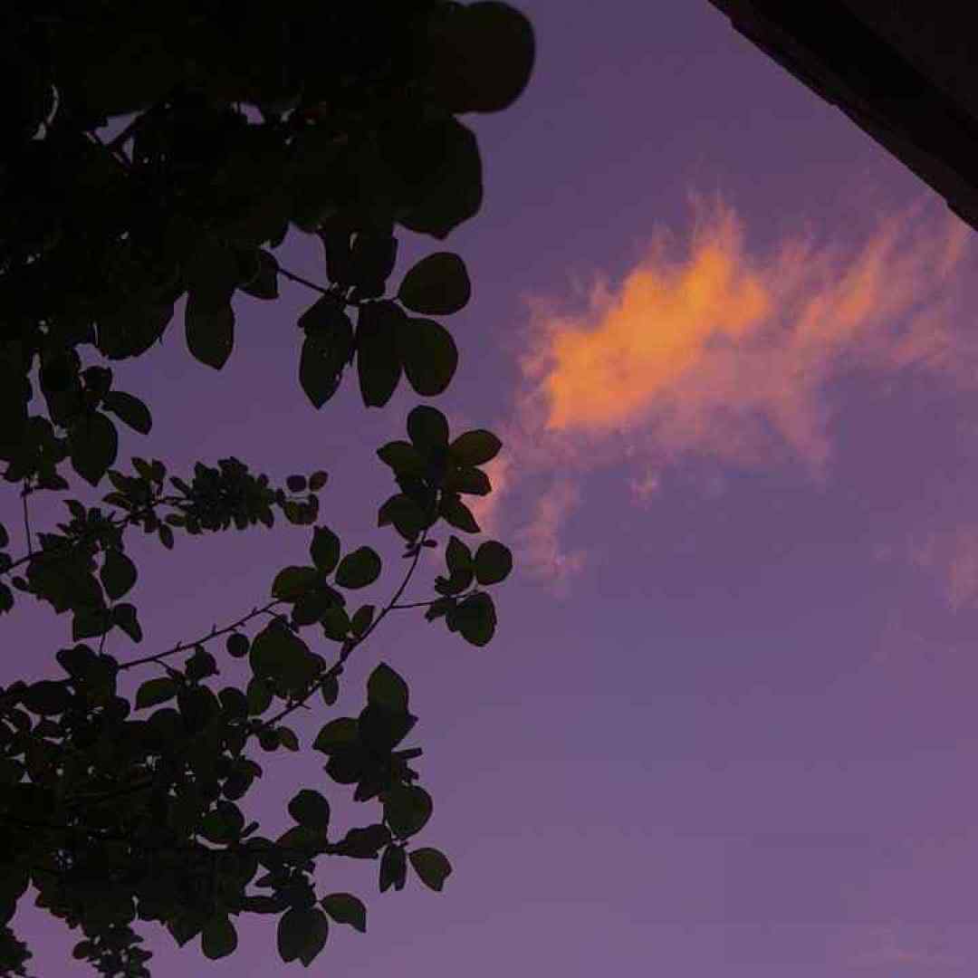  تو شدی مثل خون تو رگام حاکم قلبم