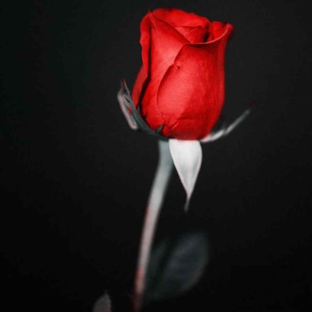  ماشاالله ماشاالله های های ورژن اینستاگرامی