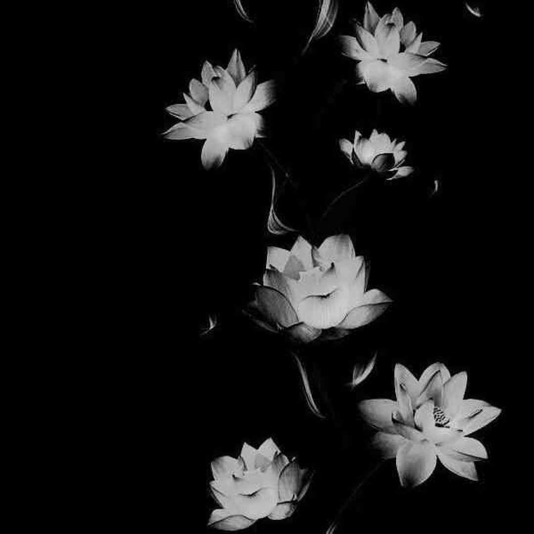 هی دختر جنوبی تو همچی تمومه خوبی با صدای پسر