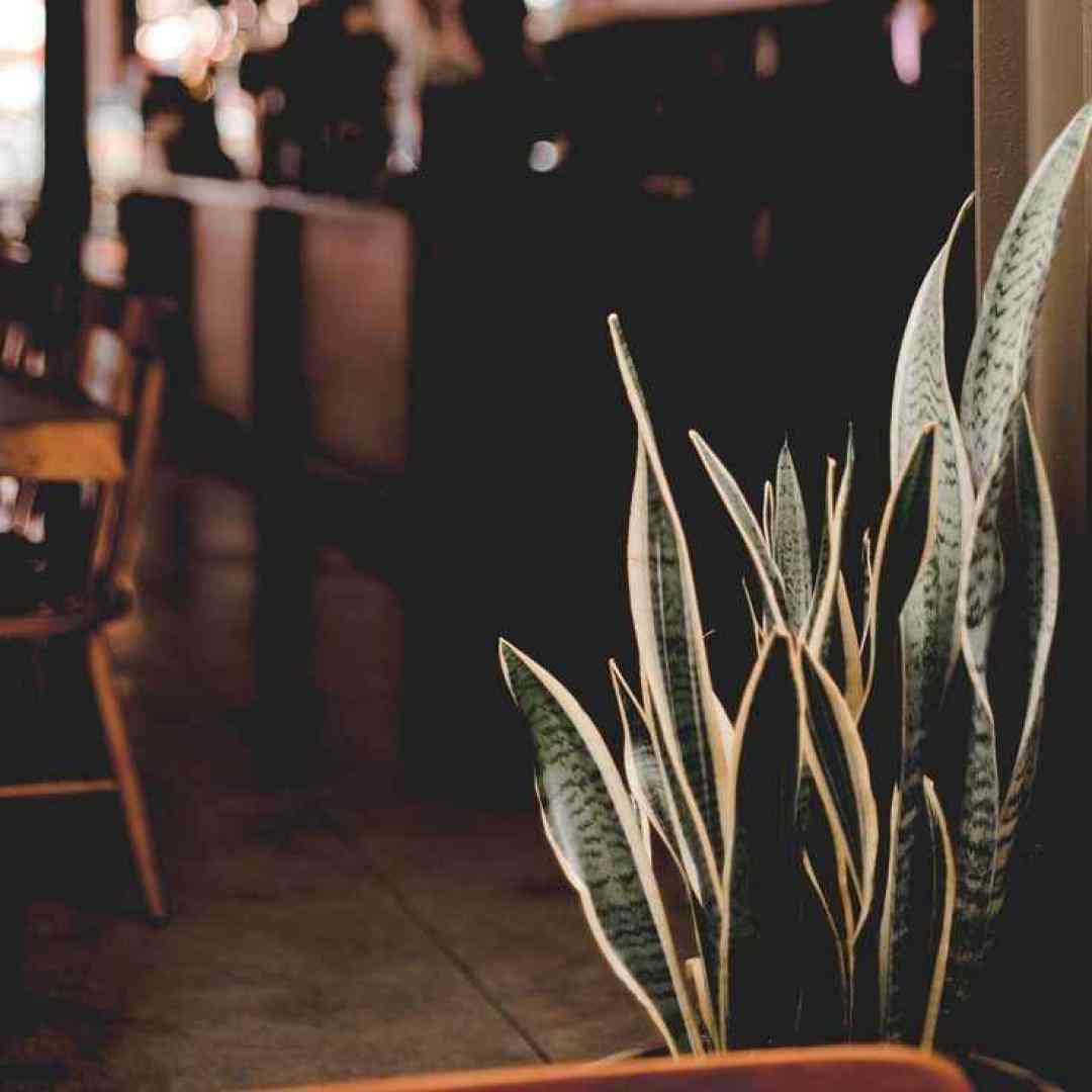  ساده نیست آماده نیست قلبم واسه تنها شدن با صدای دختر