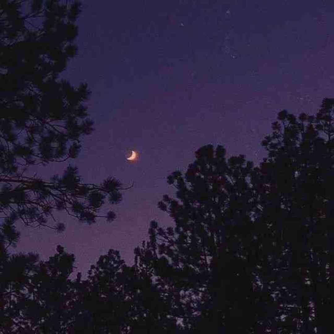  میخرم سال دیگه واست النگوی طلا ورژن اینستاگرامی