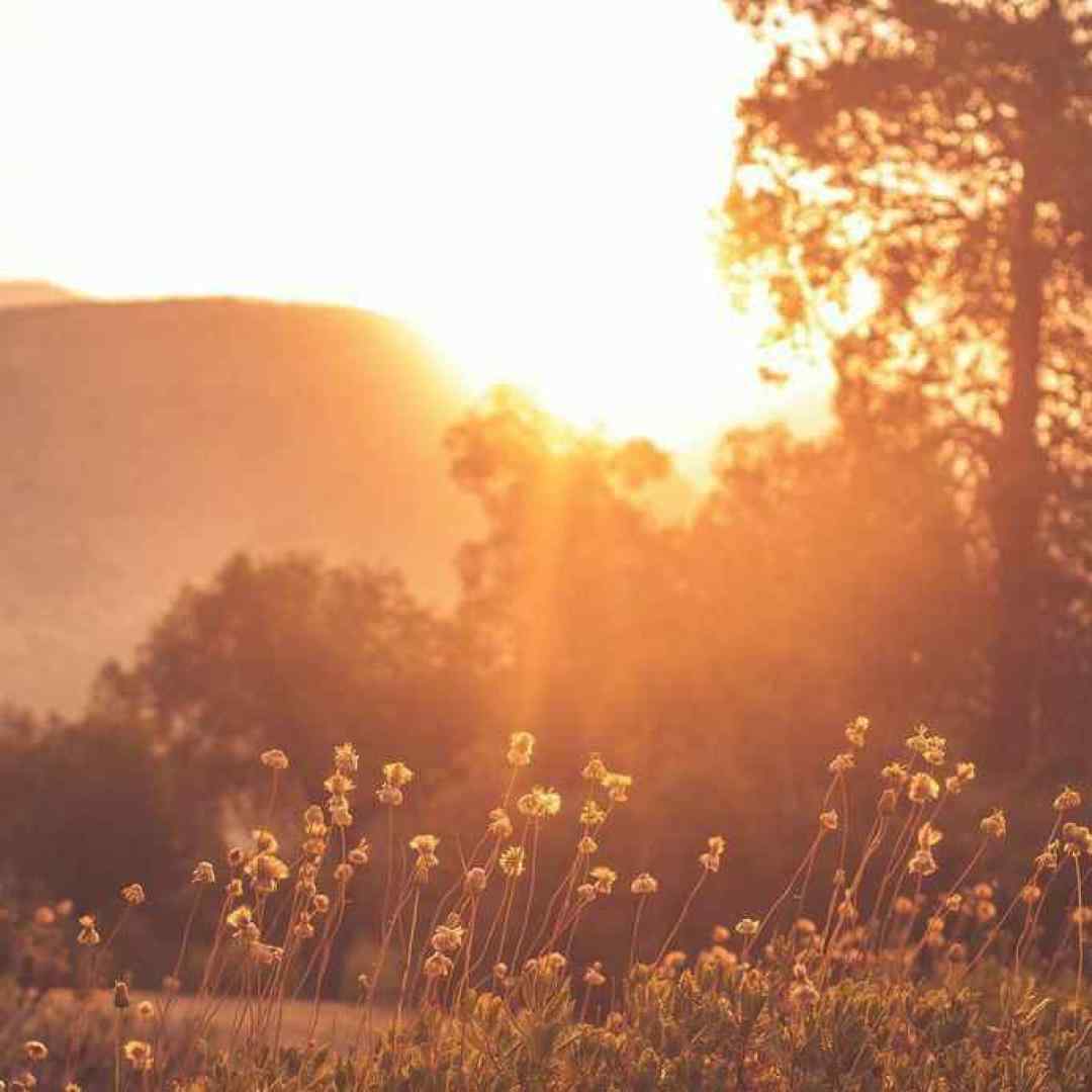  دلت با من هماهنگه نگاه تو تو چشمامه با صدای بچه اینستایی