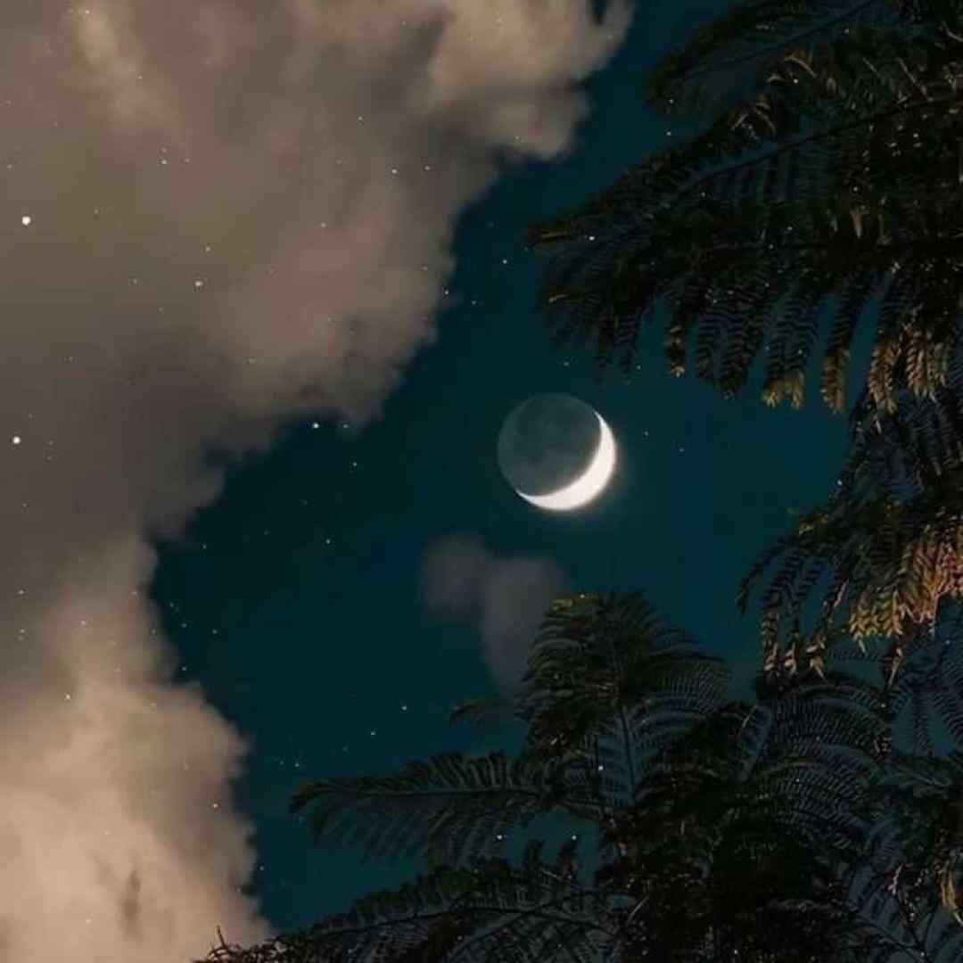  گل آتیش روی لب هات خوشگلی والا