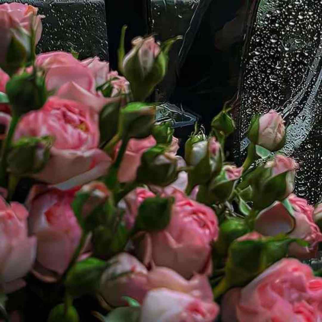  این پسر کل زندگیشو گذاشت برای تو