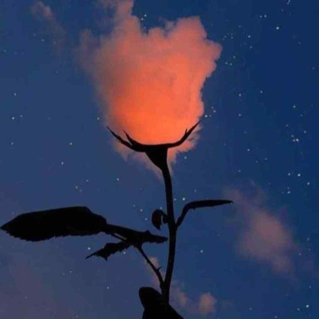  صدای خش خش برگ و پاییز و بارون با صدای دختر معروف اینستاگرامی