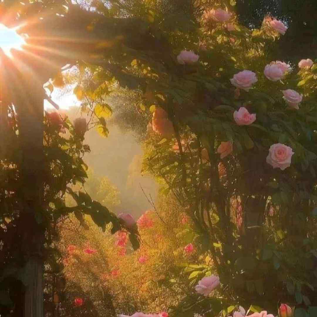  سر تا پا تنم مشکی میپوشم آخی گوزون قارادی