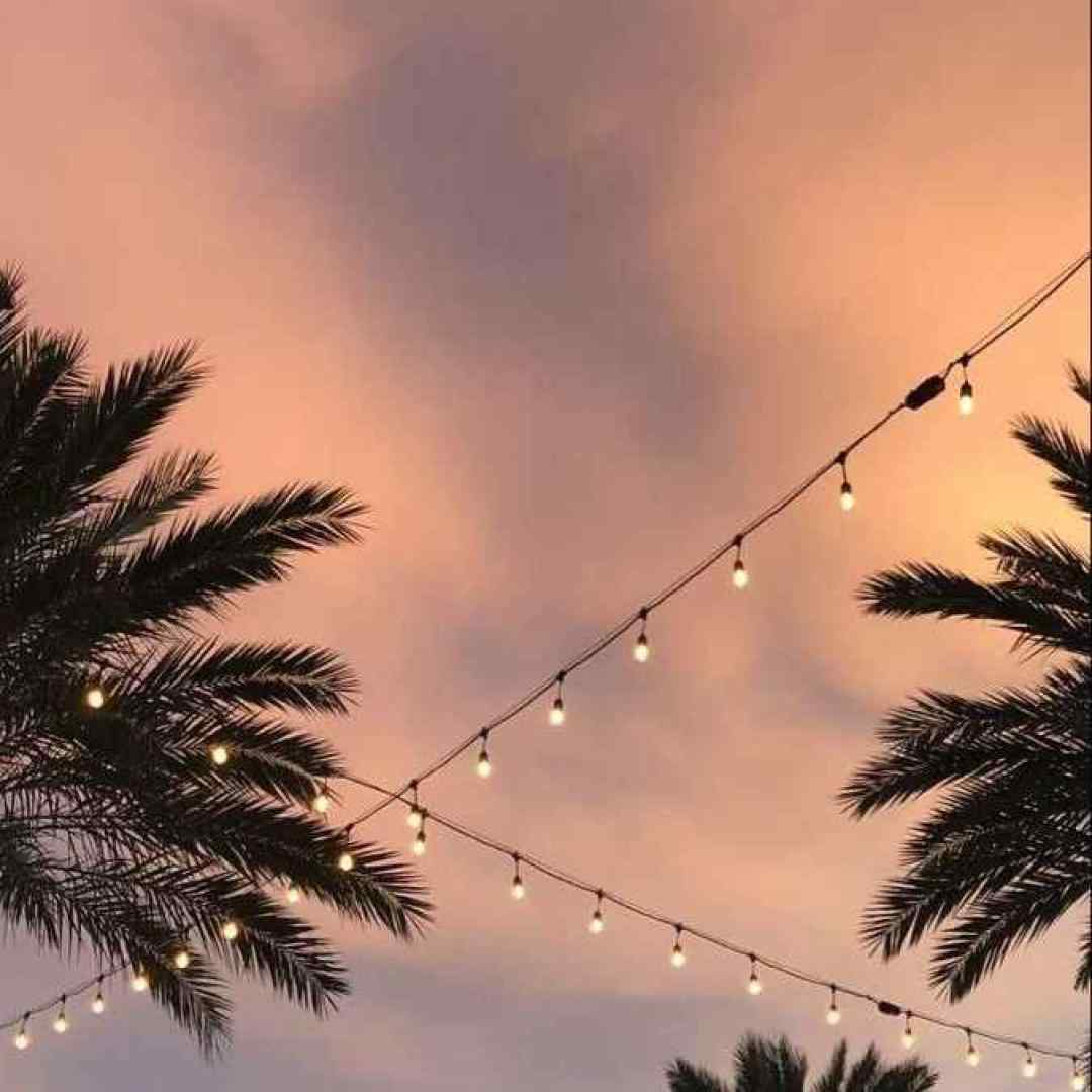 تو مثل التماس من میمونی که یک شب ورژن گیتار