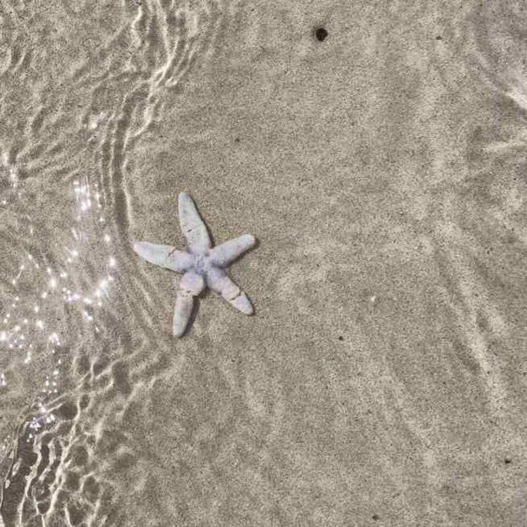  همه ی آدما میان و میرن یه جور بدن انگار ورژن اینستاگرامی