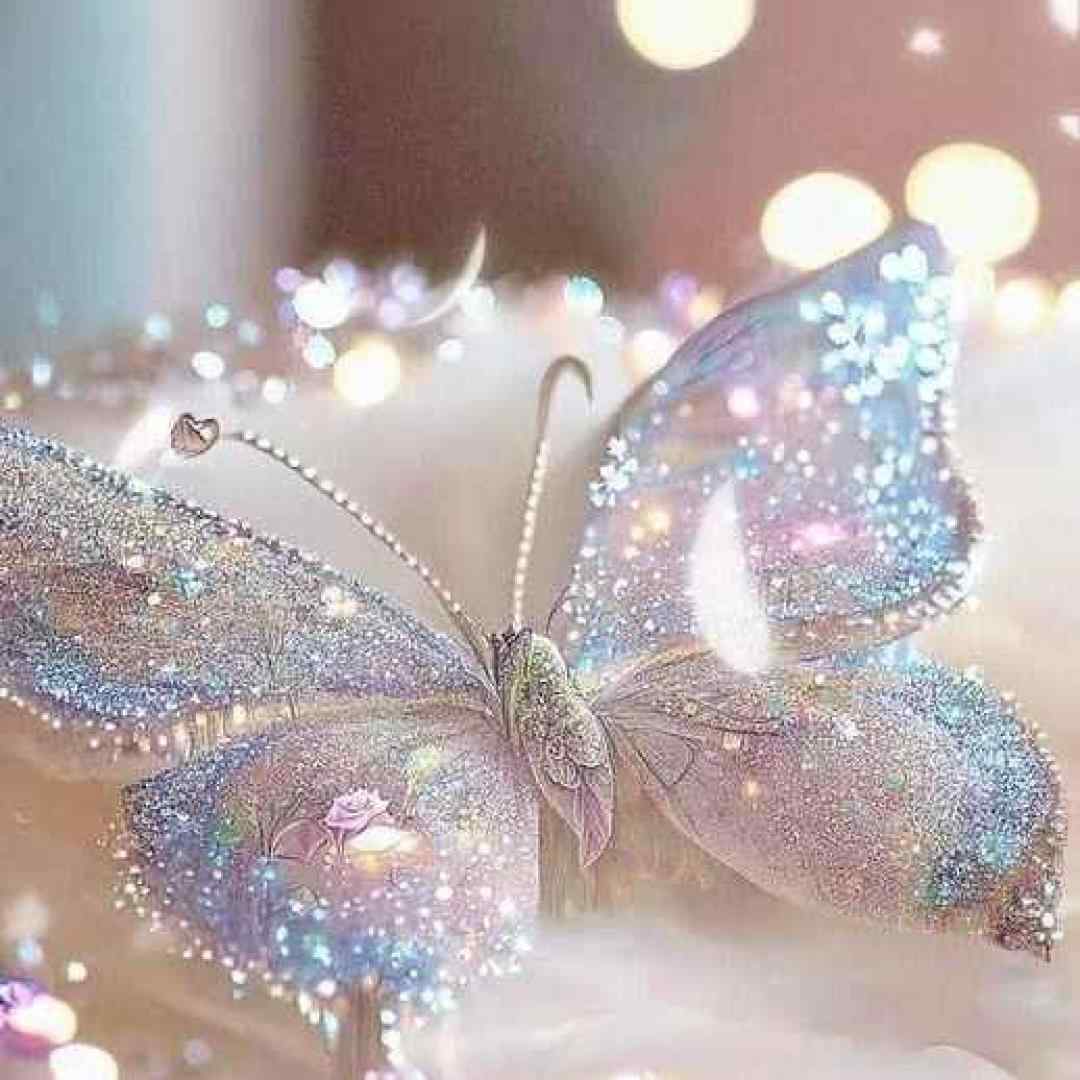  توز ئەکا توز ئەکا توزی نەرمی توز ئەکا