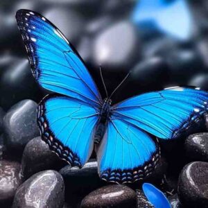 دانلود ریمیکس سیاه دستمال کج بستی به مویت کابل جانه مه می گشتم