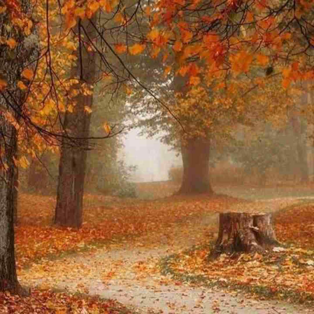  روتو برنگردون ازم نگیر نگاتو