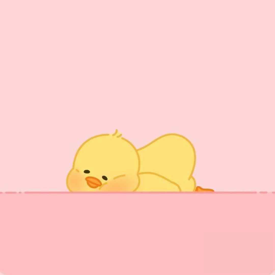 عشقش اینکاره شبو روزه بی خواب ورژن اینستاگرامی