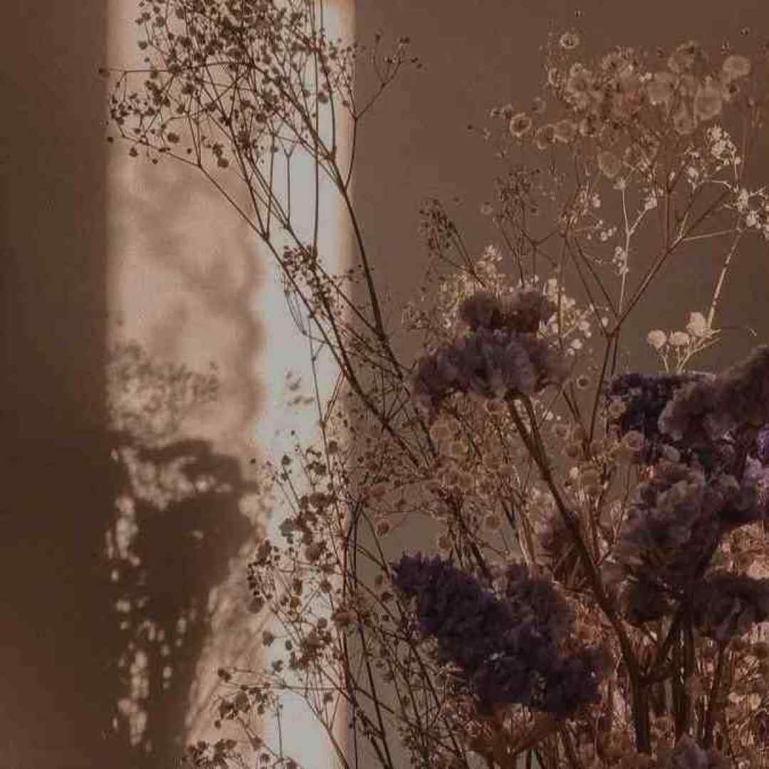 جونی جونوم بیا دردت به جونوم اجرای گروهی