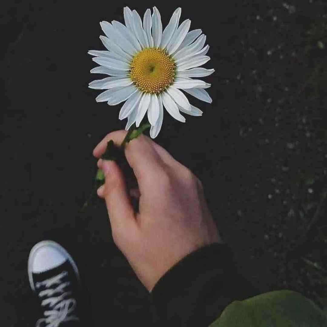  یار سنین آدینی شهیرلره