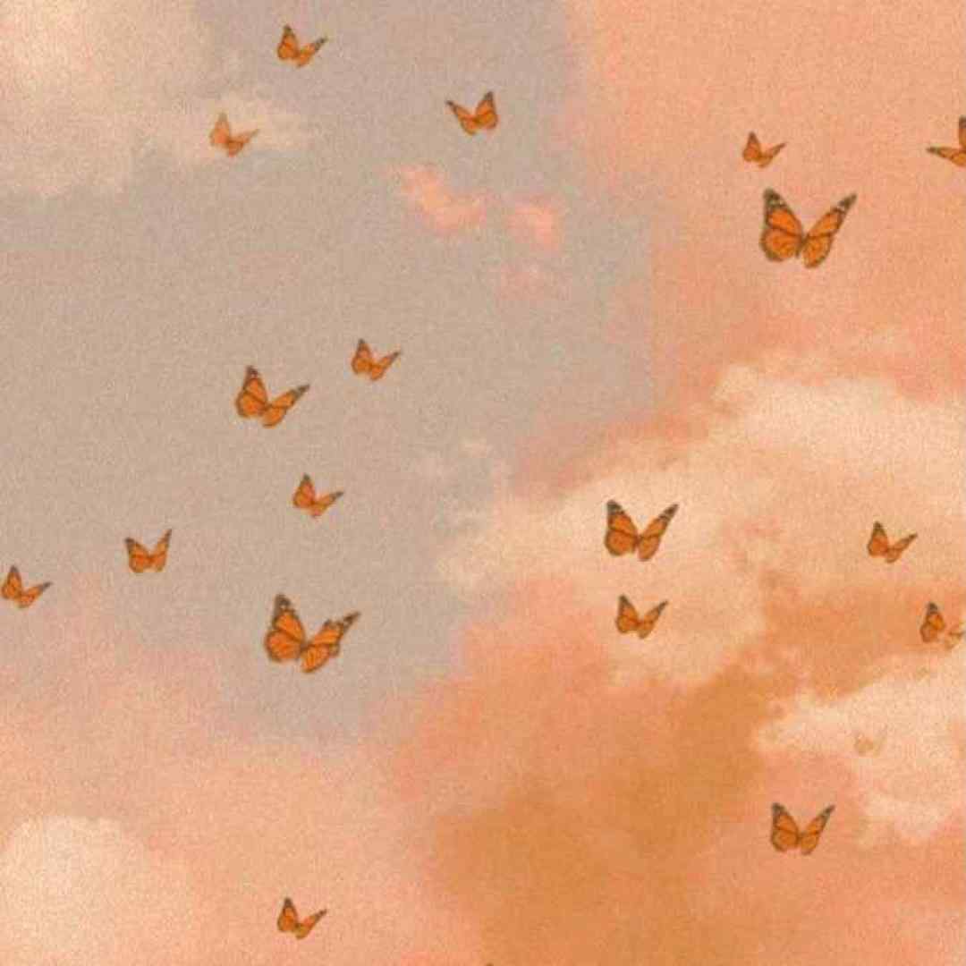 فاطمه عطایی یار