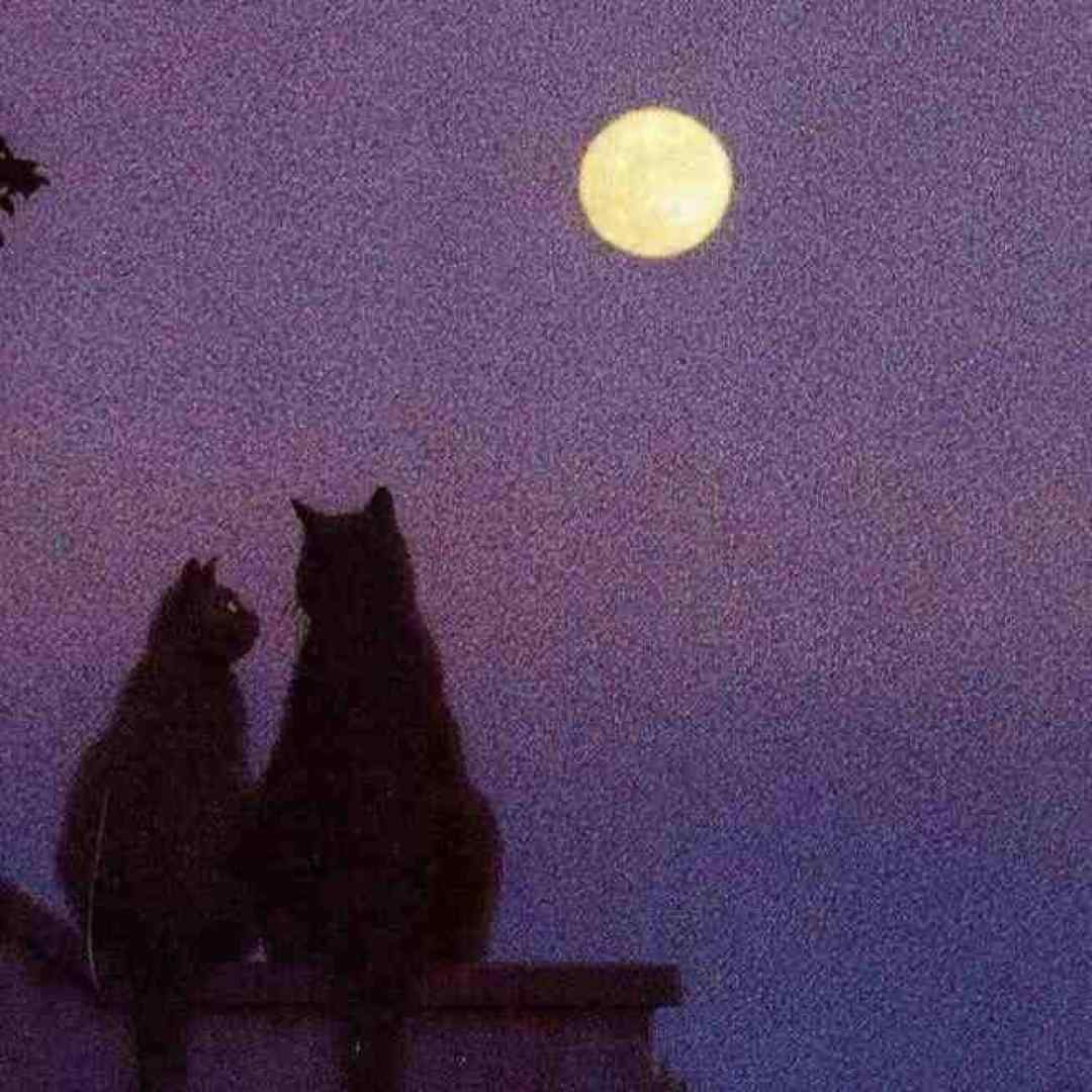  بهت پیله کردم نمیمونی پیشم با صدای بچه