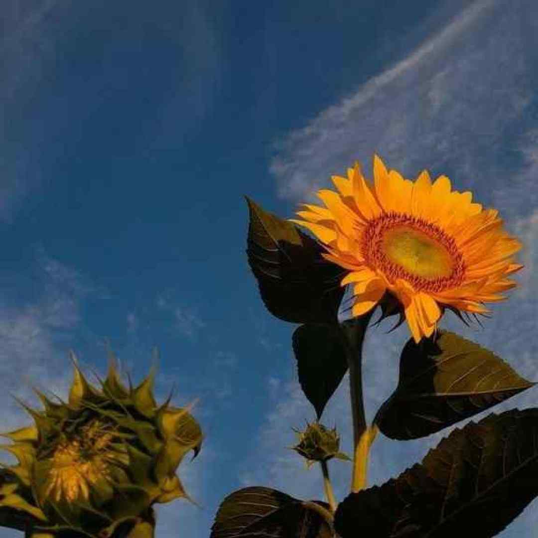  برو به هرکی میپرستی قسم ورژن پیانو