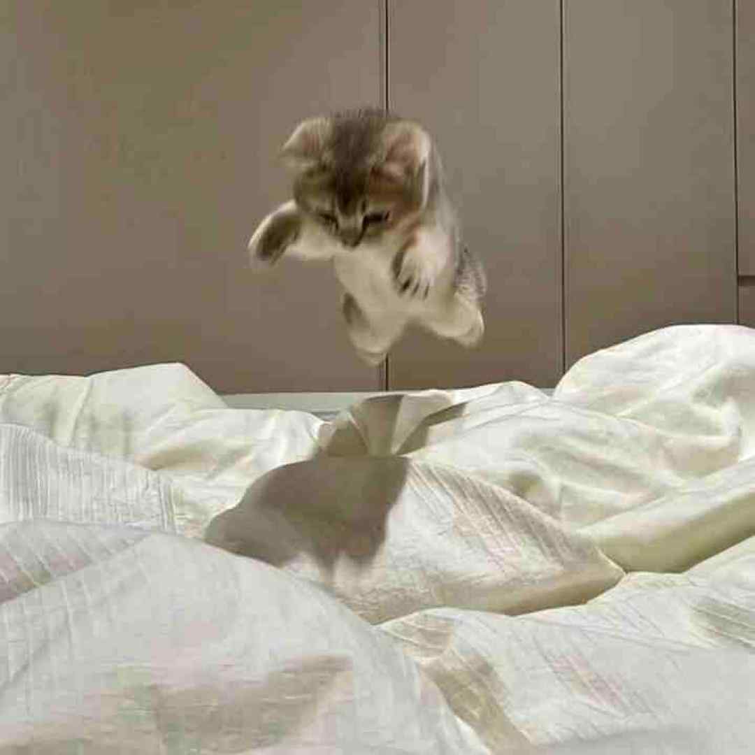  سر نماز گوتم خدا کاگول زریشونه خدا با صدای پسر