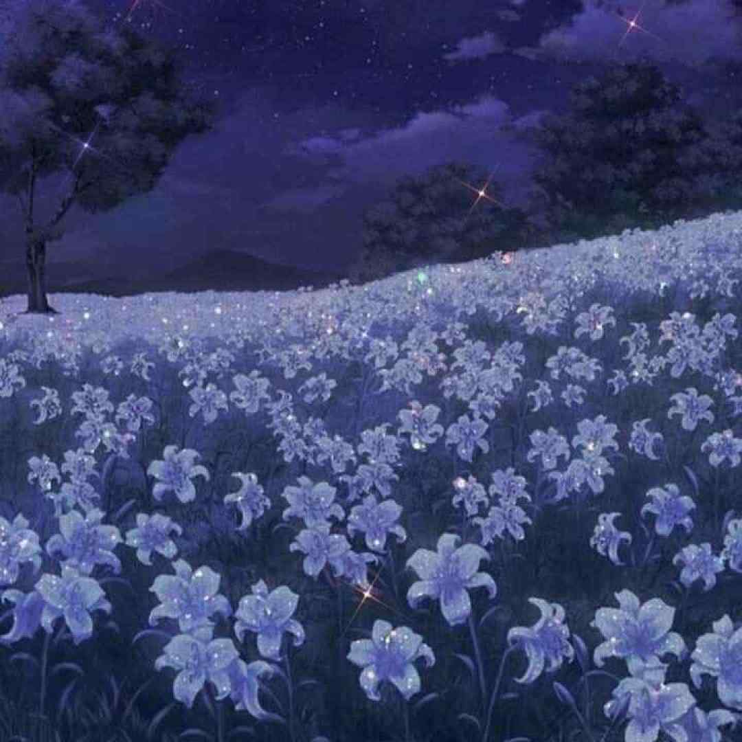  خوبه که اینجوری هوا همو داریم تو بهم