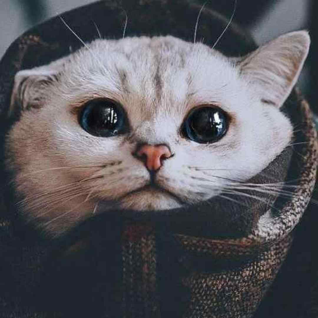 خسته شدم از این همه دونستن دمت گرم که تو هم تونستی