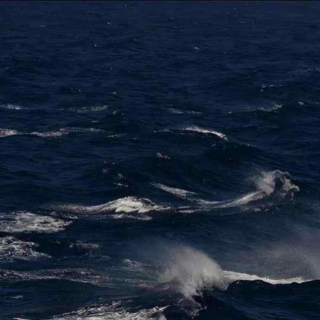 آره منم دوست دارم محاله تنهات بزارم با صدای بچه