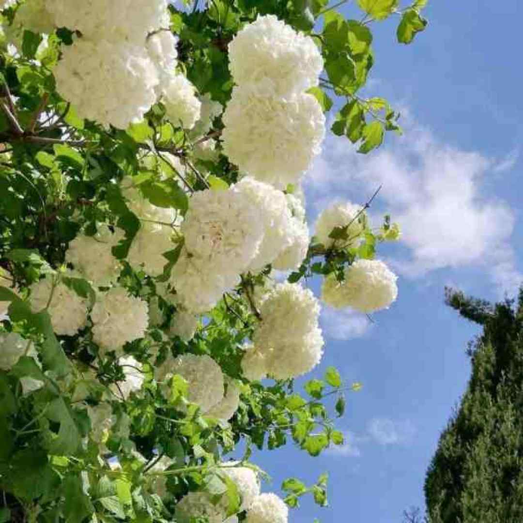  عشق که در میزنه اونو جوابش نکن ورژن اینستاگرامی