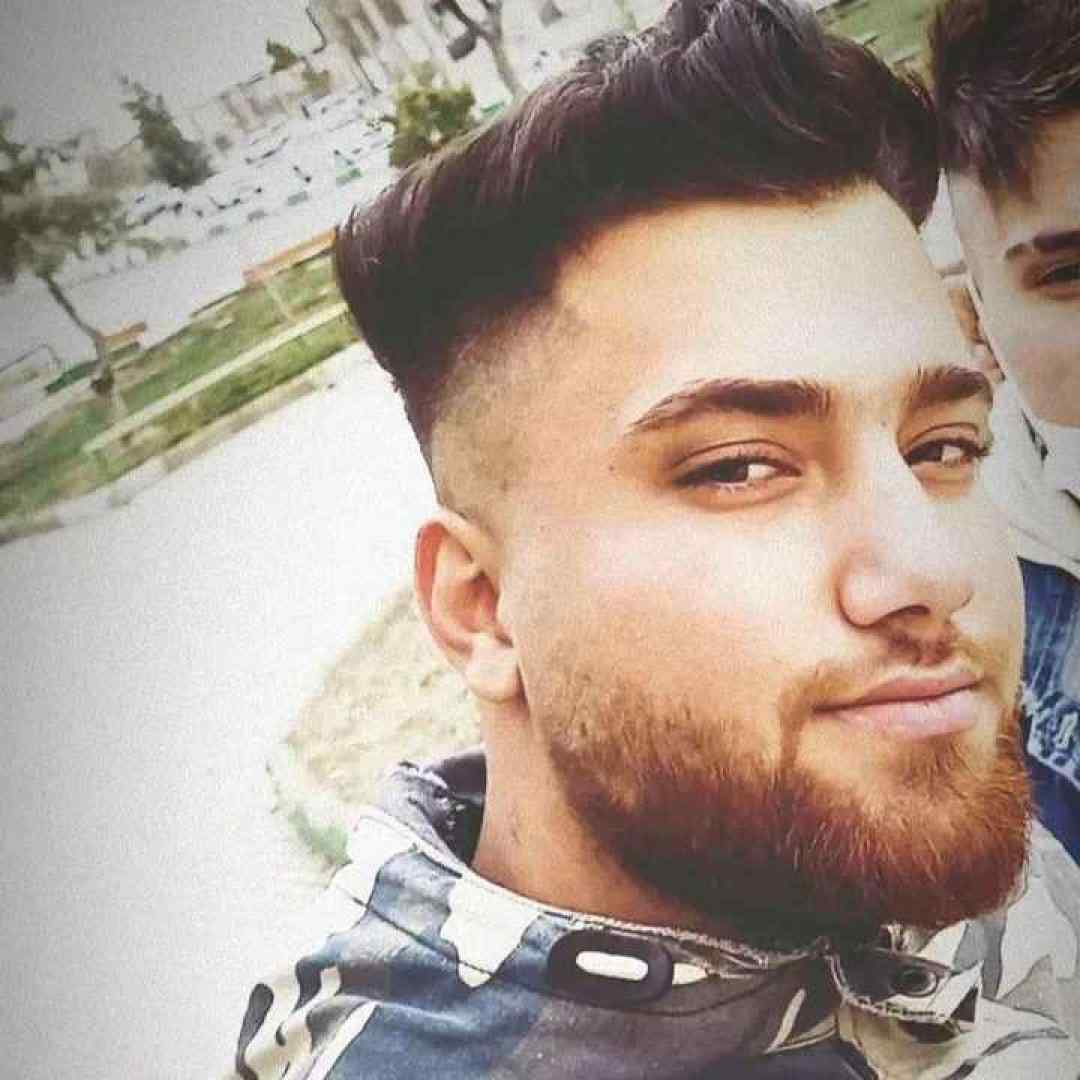 حامد سنجابی نقره ای