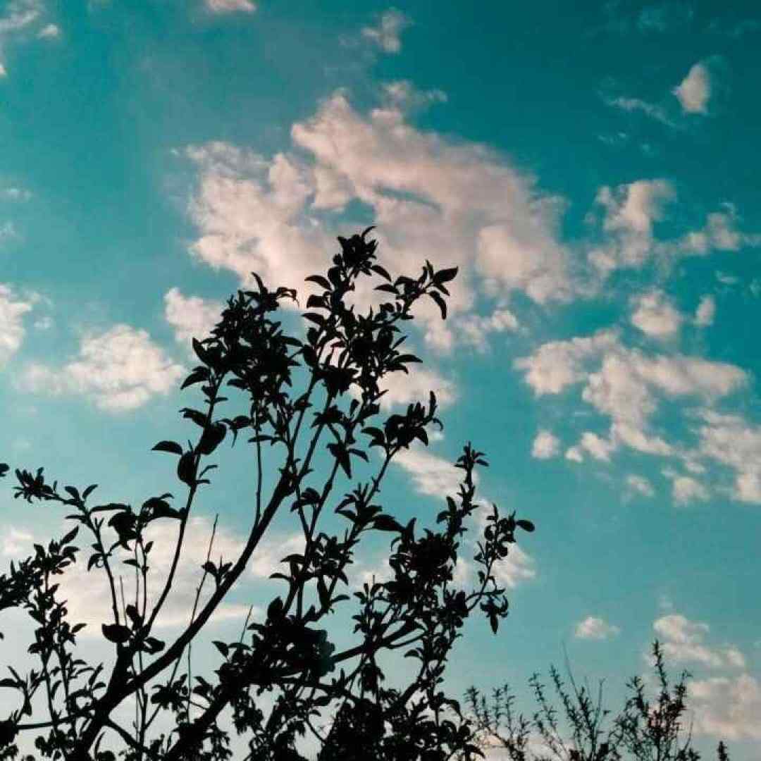  گفتی میخام‌ رو ابرا همدم ستاره هاشم با صدای زن