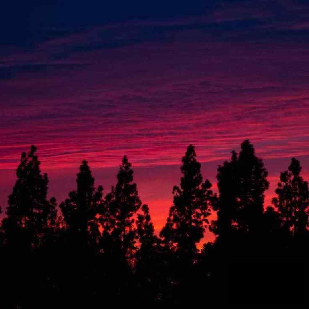  نشد بشیم همیشگی ما کنسرت اینستاگرامی