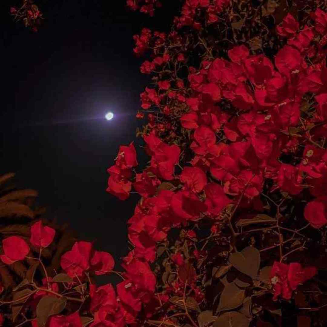  سیارمو میگردم کسی نمیدونه دردم ورژن گیتار