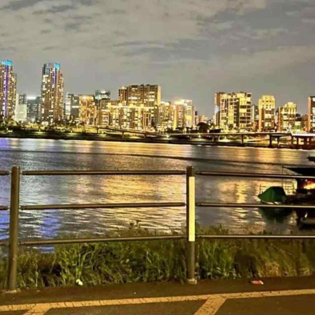 گری دوندورن گوردنمو گیچ میشی