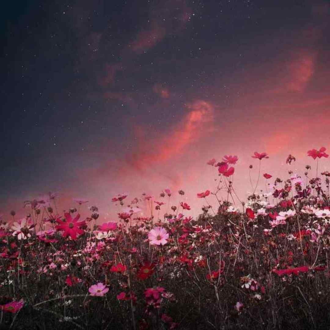 سن دلی باخیشلی سان ن یاراشیخلی سان با صدای مرد ورژن اینستایی