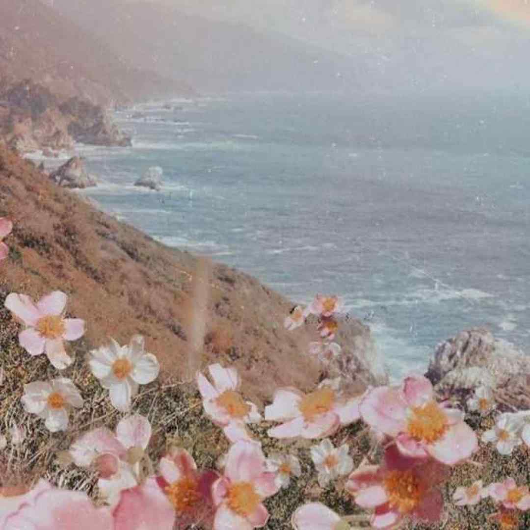  غم تقدیر هم قطار درد ما شده ورژن اینستاگرامی