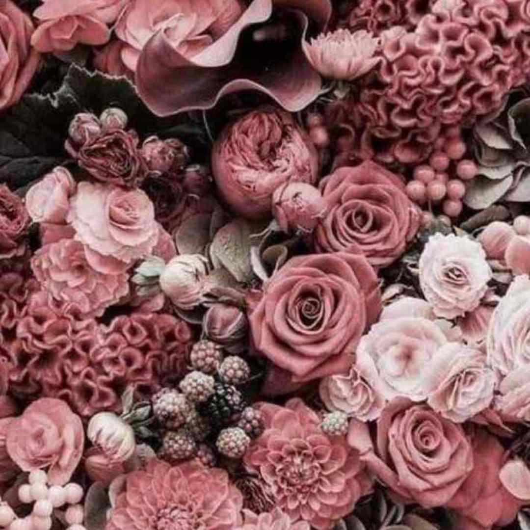  ماهیا اشک میریزند چک چک چک تو برکه