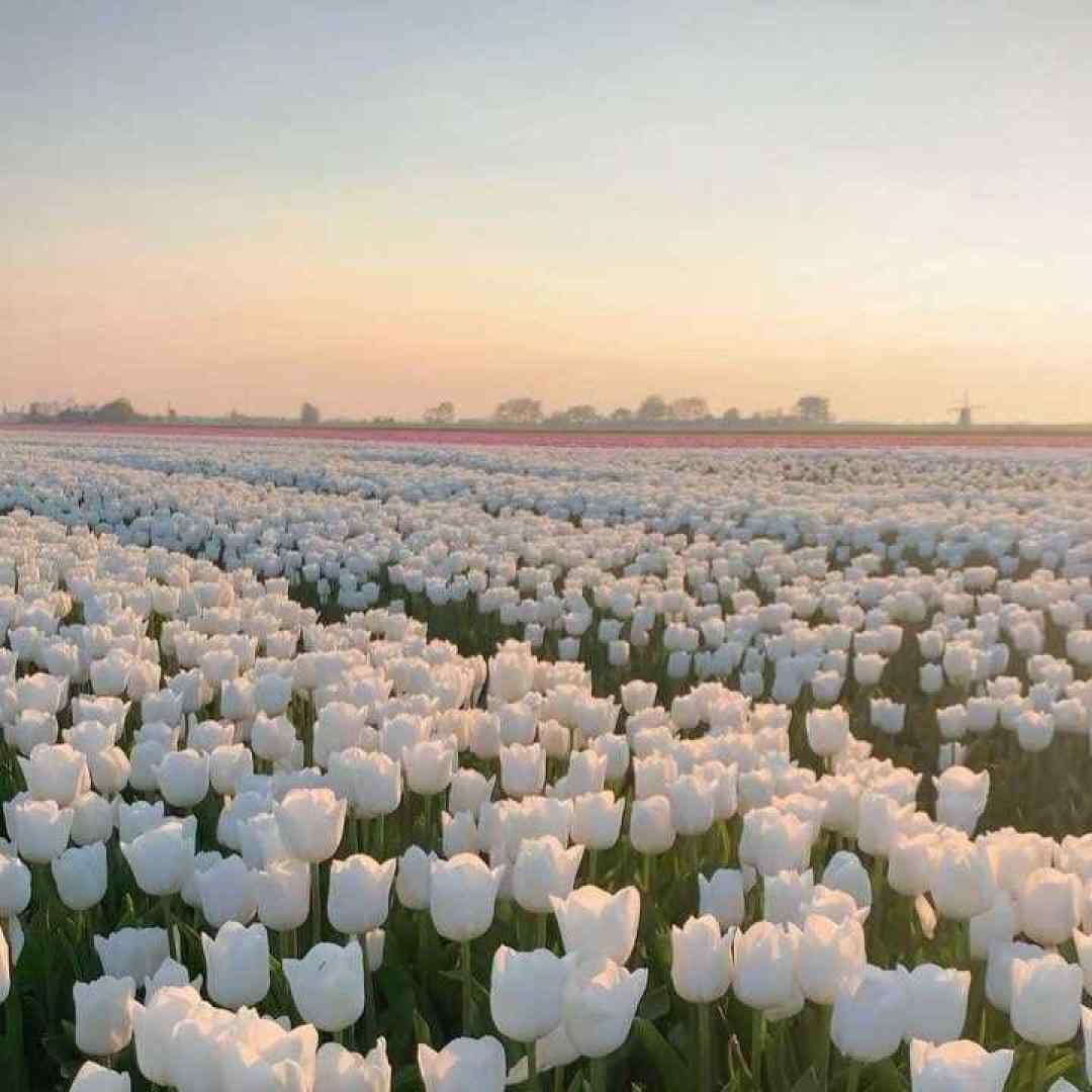  غم میون دوتا چشمون قشنگت خونه کرده ورژن گیتار