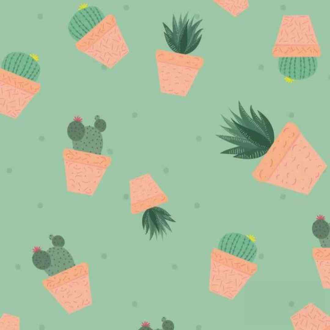  فکر عشق تو پیرم کرد بعدشم دلگیرم کرد ورژن اینستایی