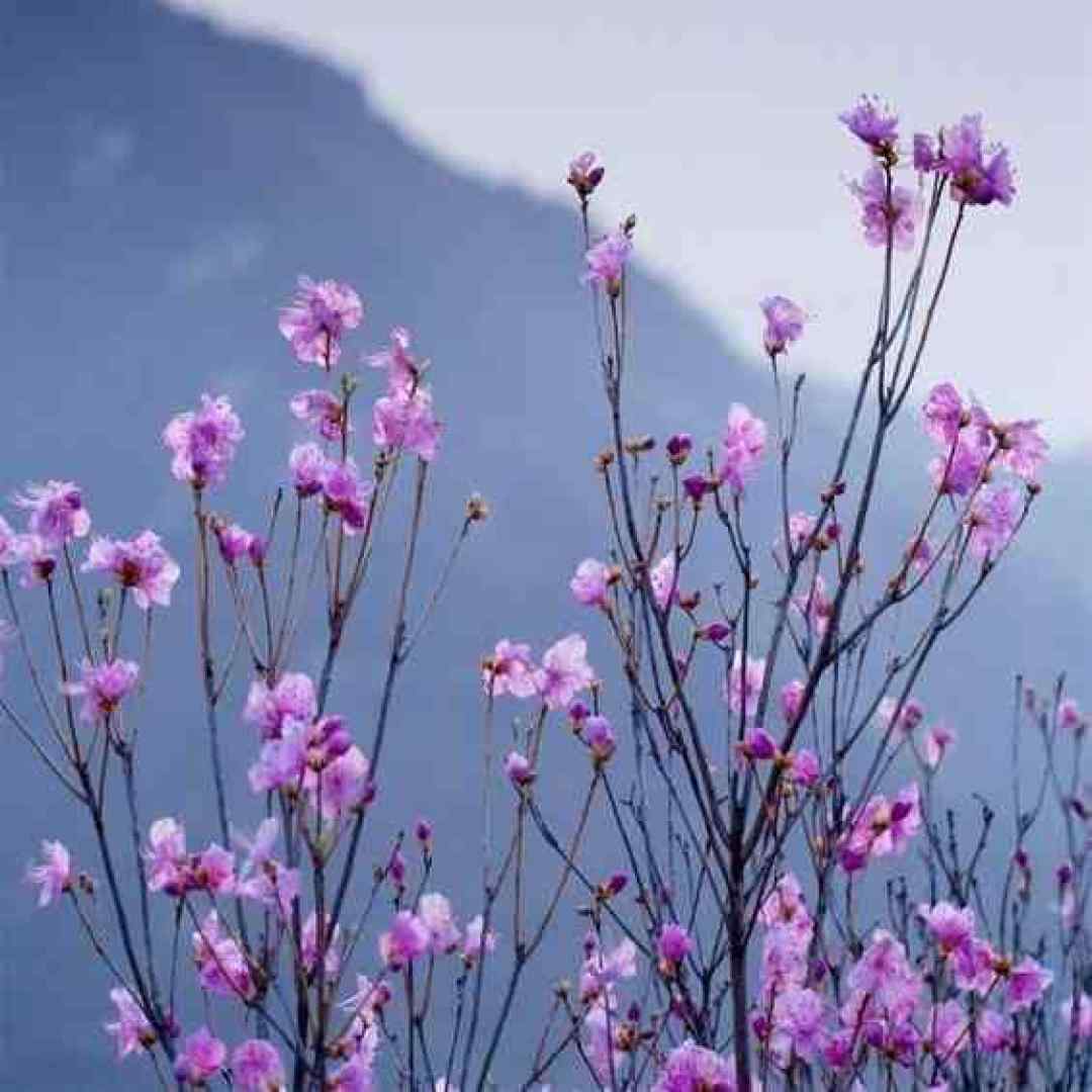 مثل کشتی زیر دریا با صدای مرد ورژن گیتار