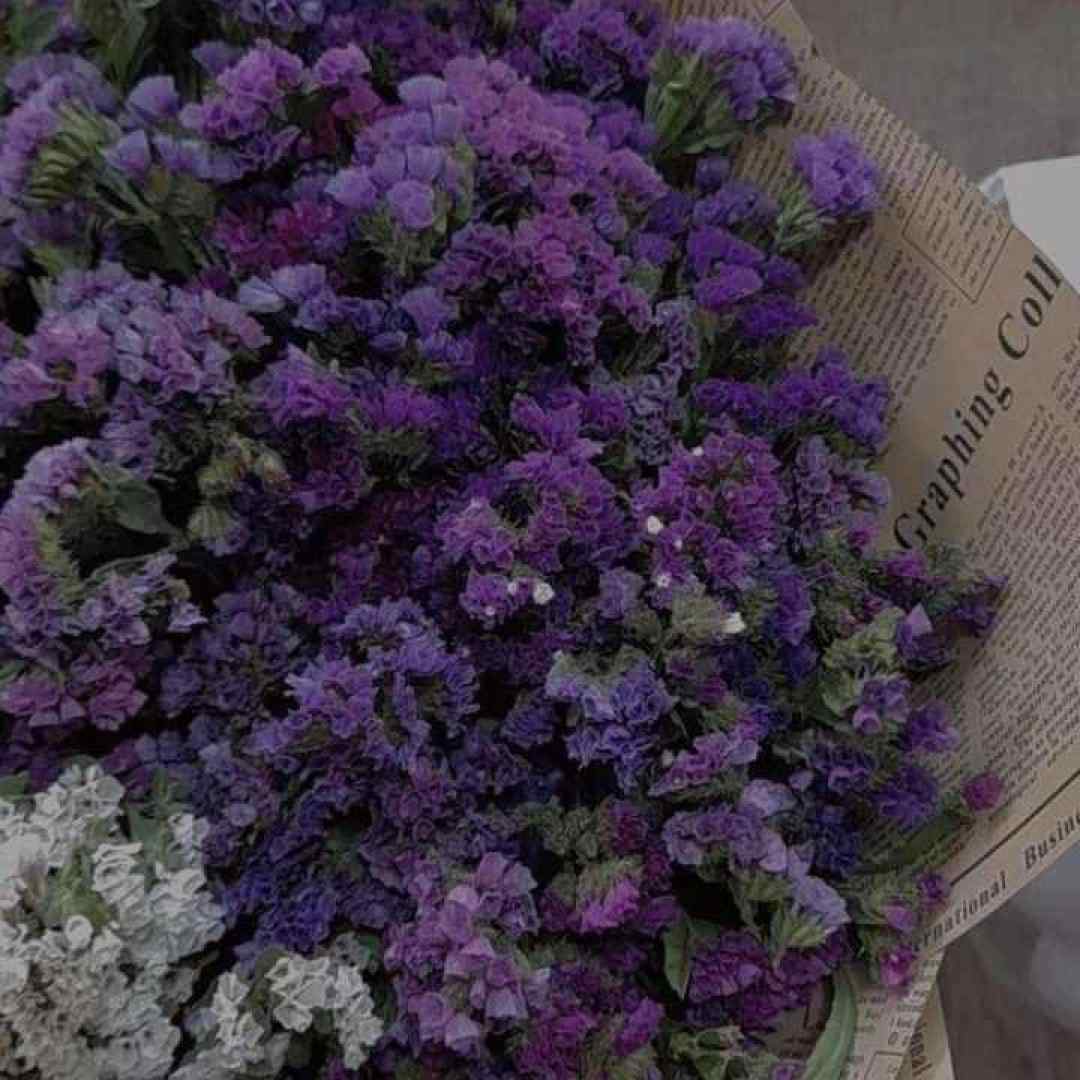  دلبرکم صدات دیگه نمیاد دلبرکم نیاز دارمت زیاد با صدای پسر