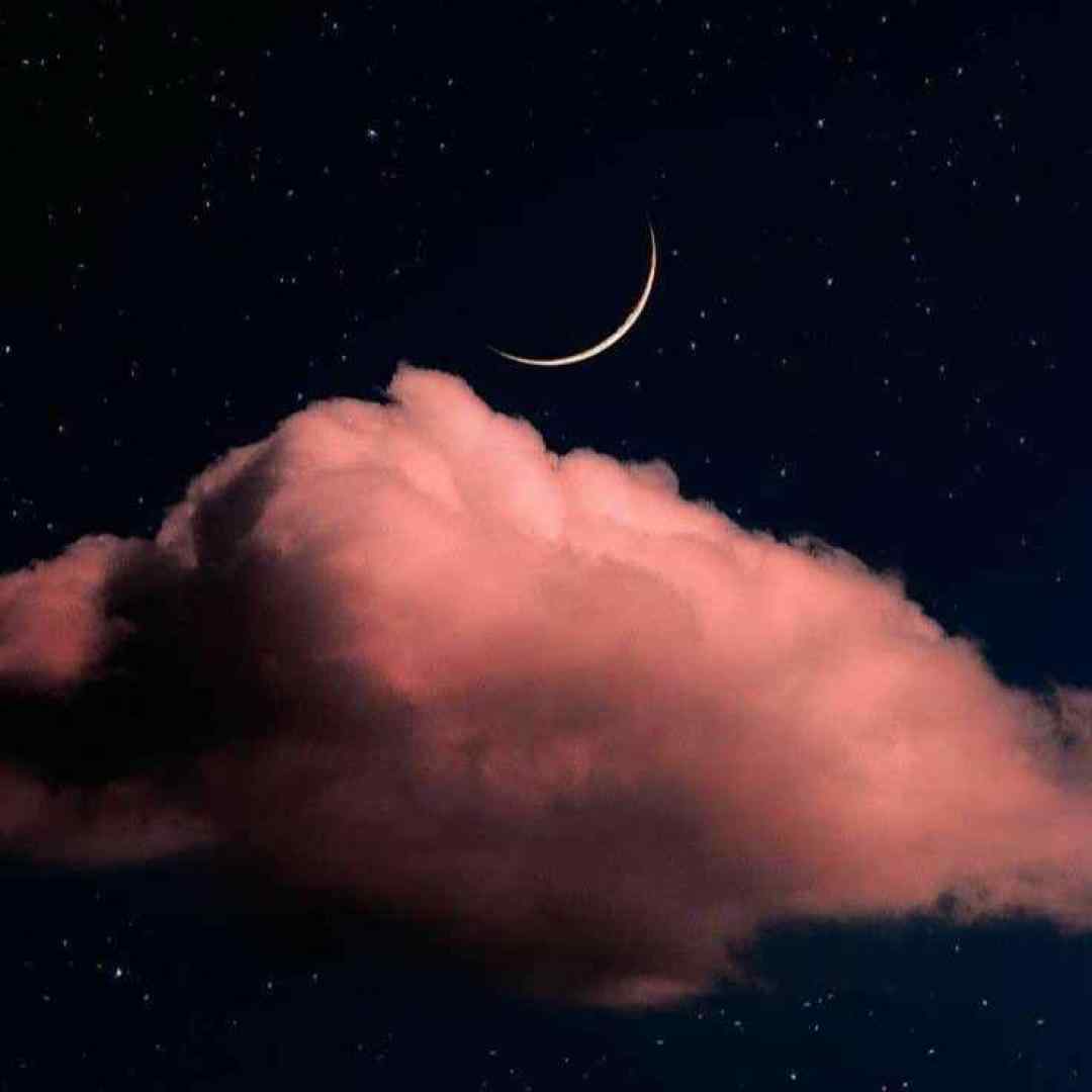  من بدون تو یه مروارید مشکی بی صدف من ته مردابم