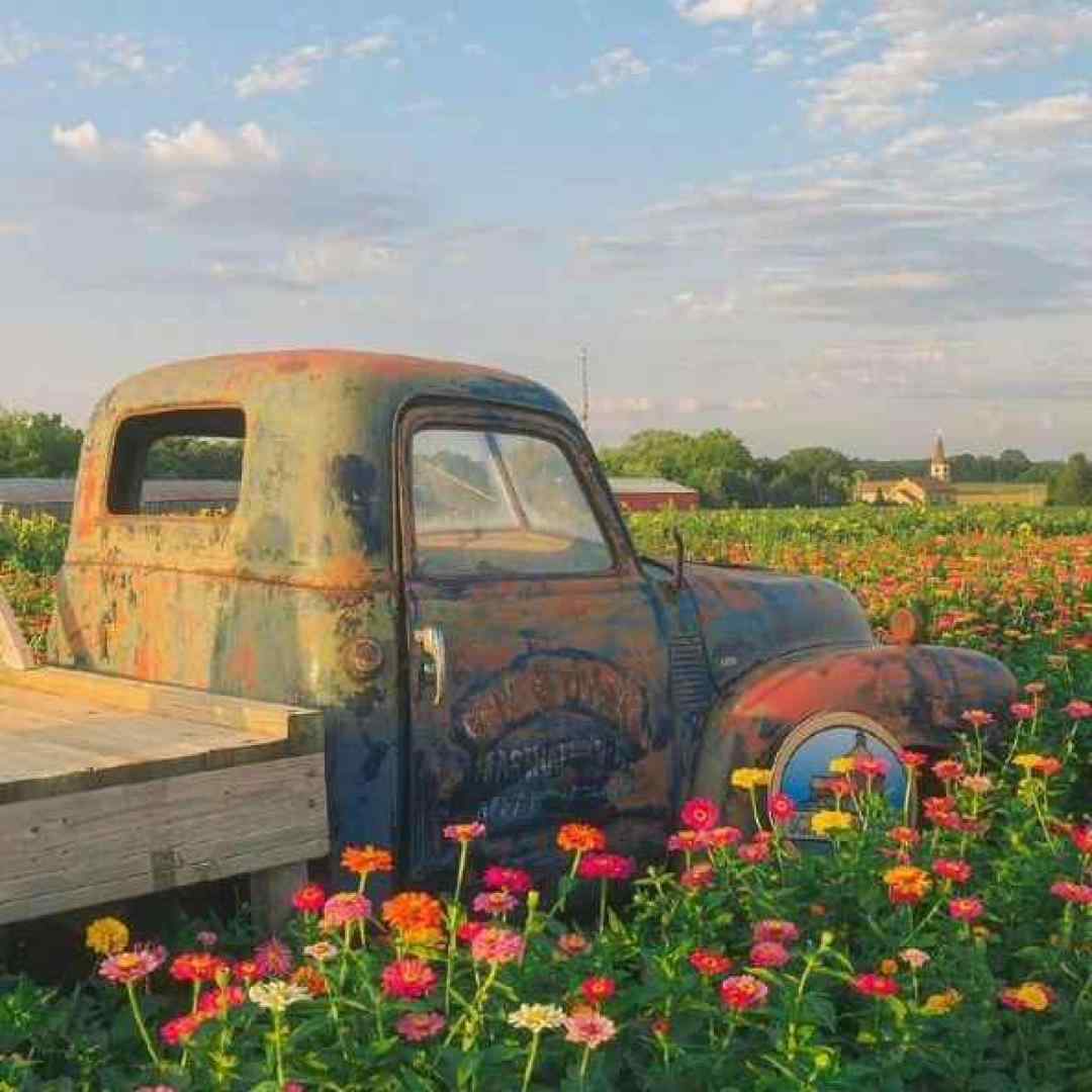  تو زیبایی مثل ماه تو شبای تیر و تارم